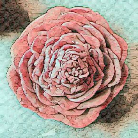 Meet your Posher, Cassandra - Picture 1 of 1